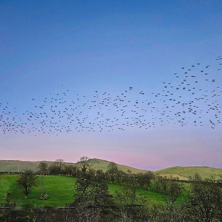 Wild Valley Bunkhouse Llanrhaeadr-ym-Mochnant Экстерьер фото